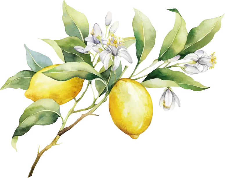 Huile Essentielle citron